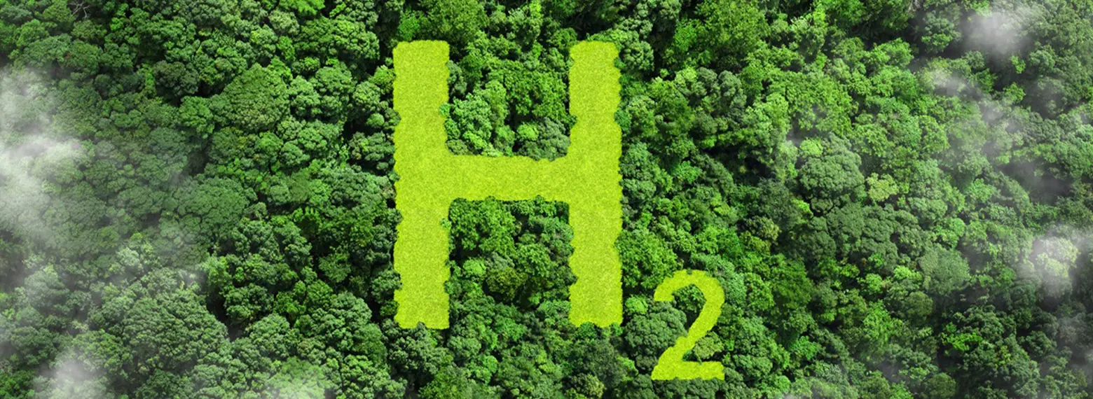 foresta verde simbolo idrogeno