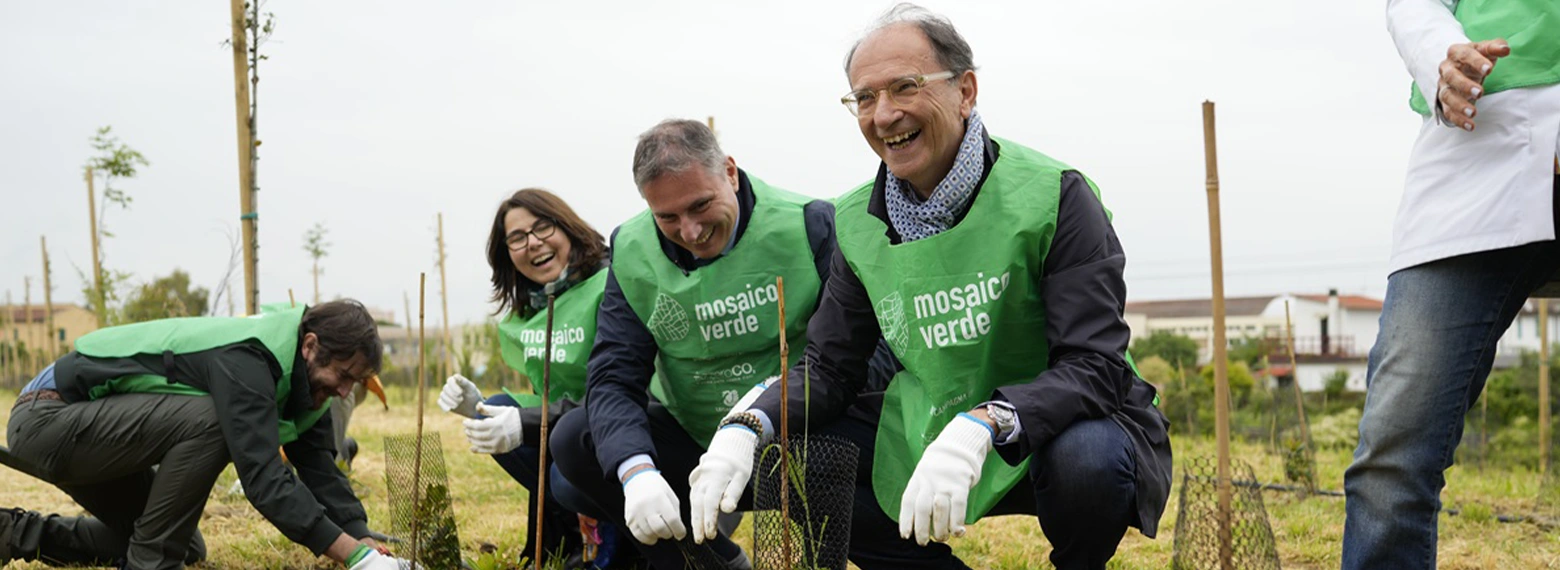 massimo quaglini piantumazione alberi livorno