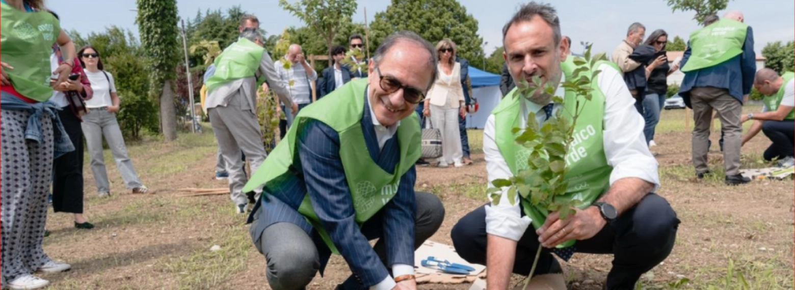 foto gruppo piantumazione alberi