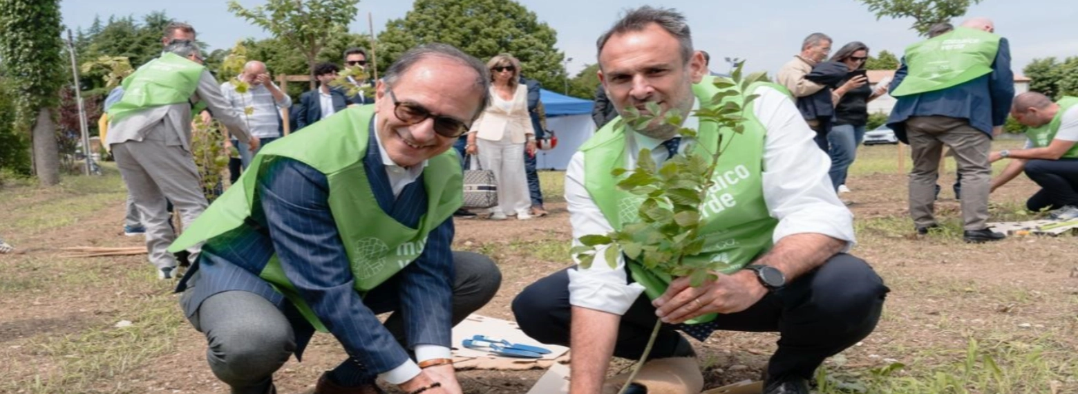 foto gruppo piantumazione alberi