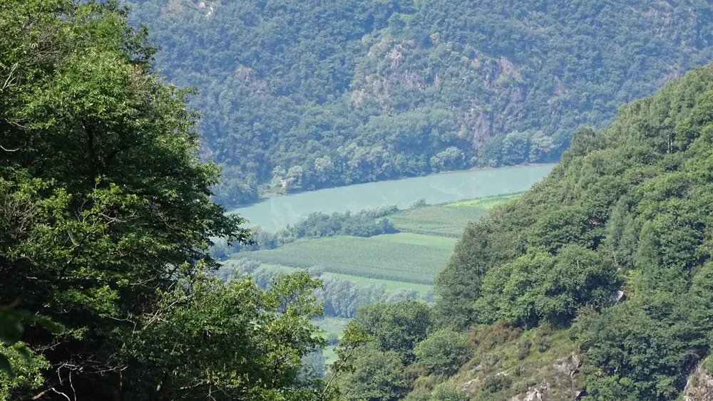 view valley green forest
