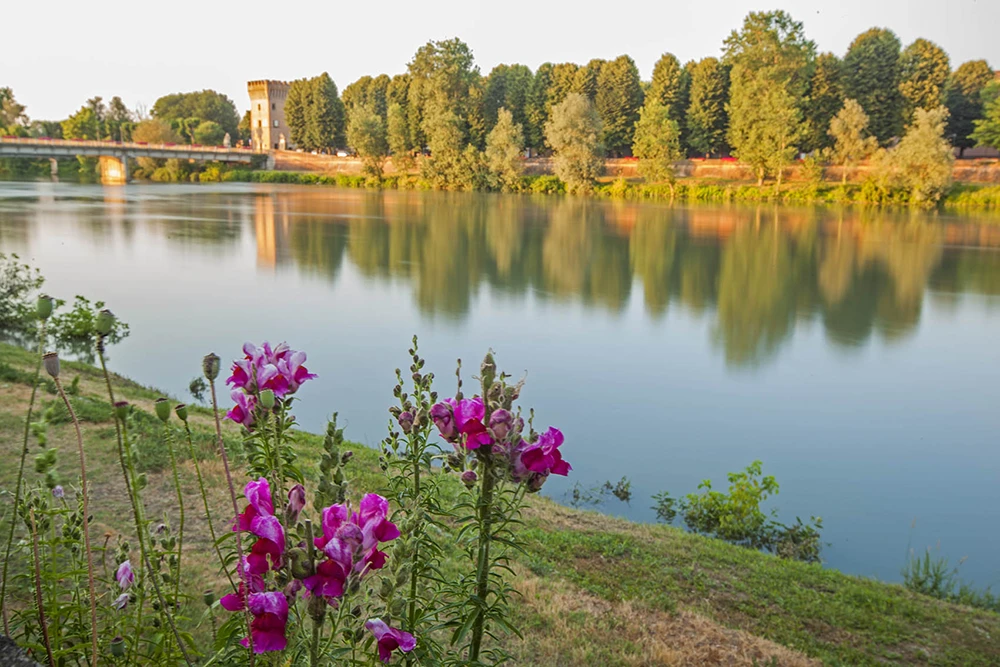 vista fiori centrale idroelettrica pizzighettone