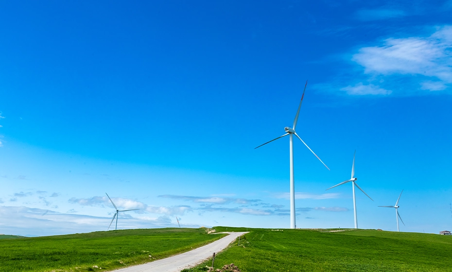 veduta impianto eolico Sangiorgio Lamolara