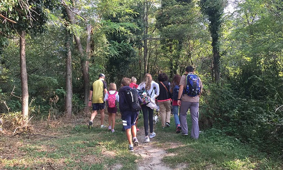 people walking in the woods