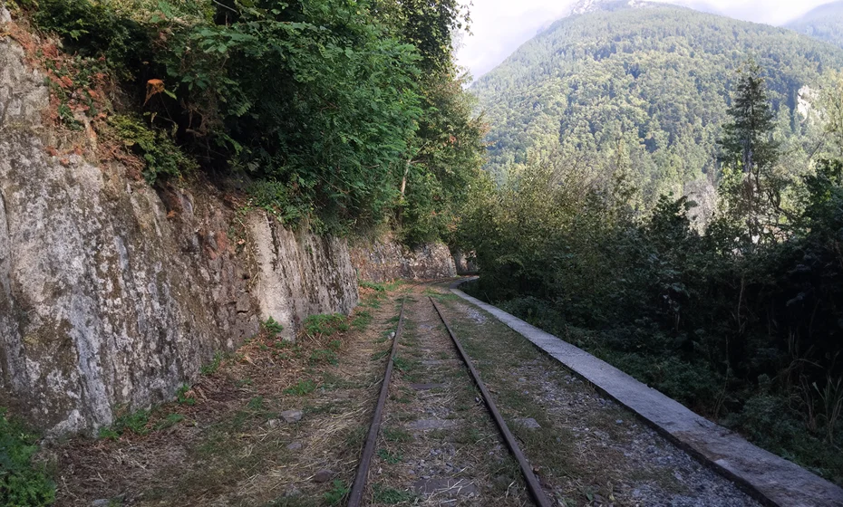 nature trail tracks tracciolino