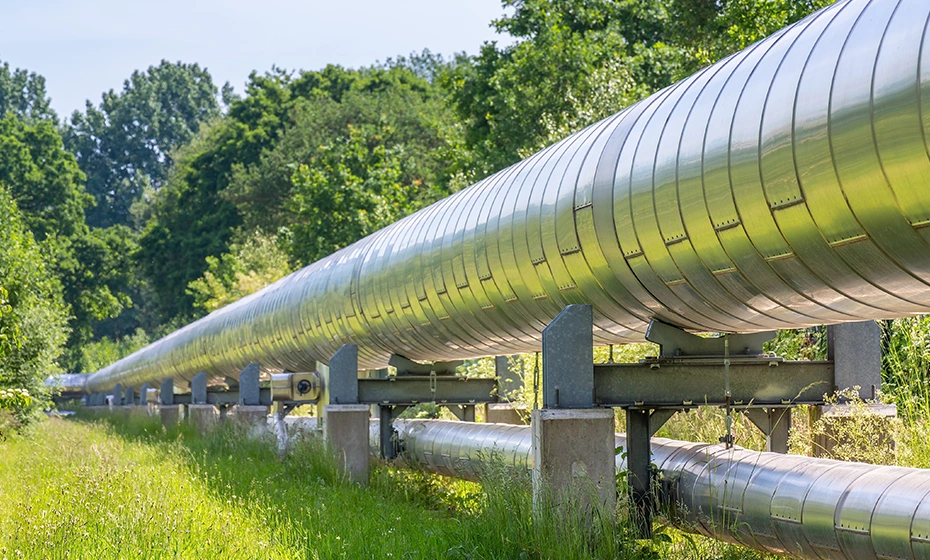 pipeline bosco verde