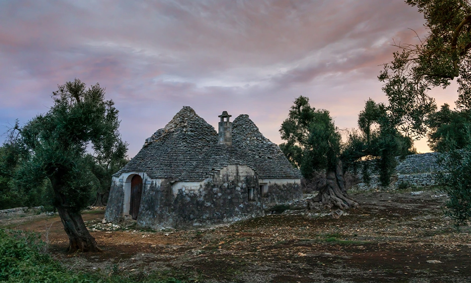 trullo uliveto campagna pugliese