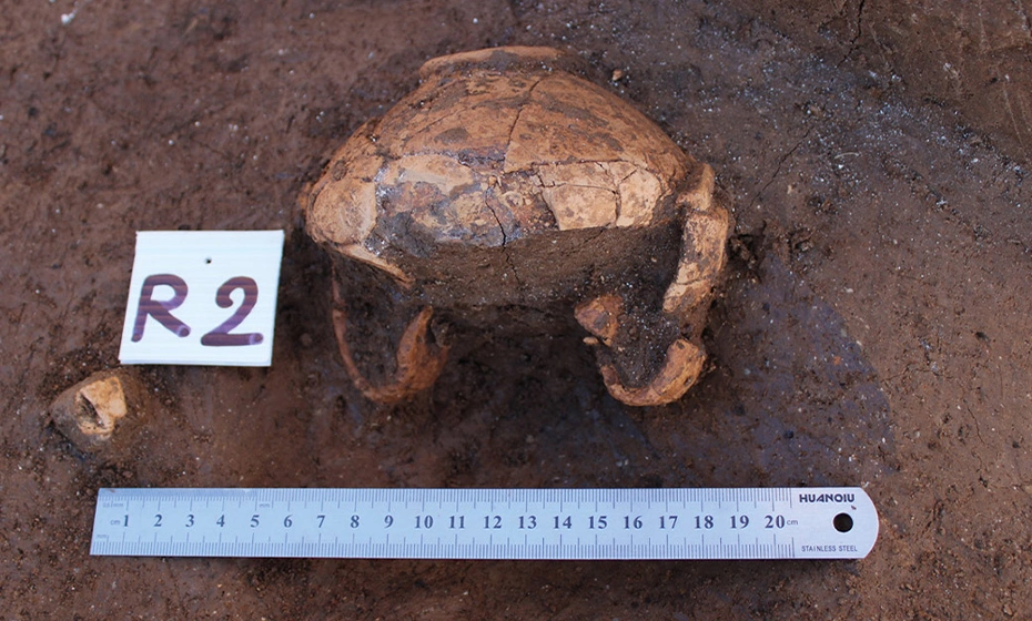 ritrovamenti archeologici scavi presenzano