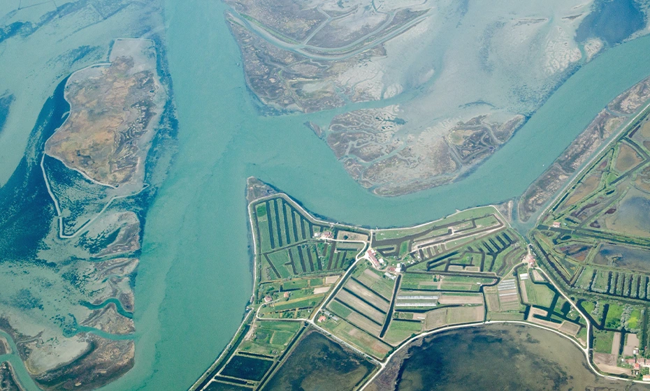 Laguna di Venezia Area di Lio Piccolo