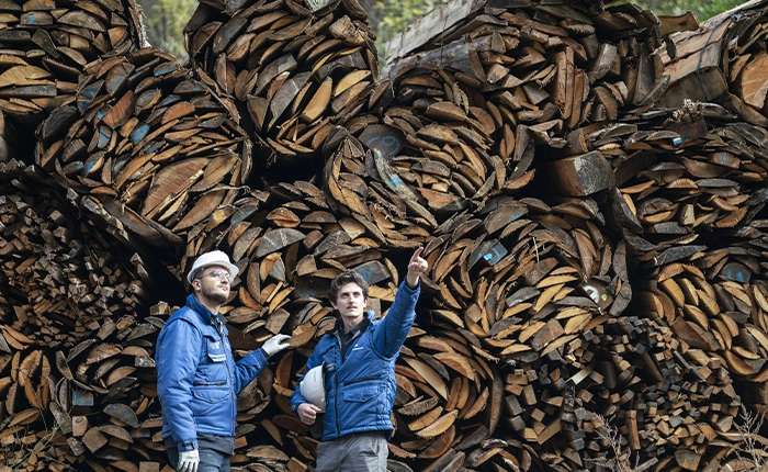 addetti catasta legna impianto teleriscaldamento