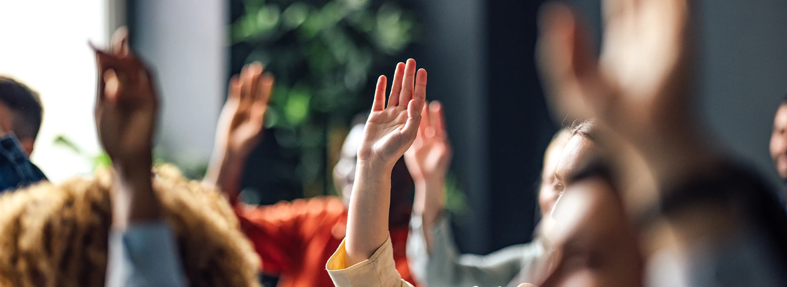 votazione ad alzata di mano