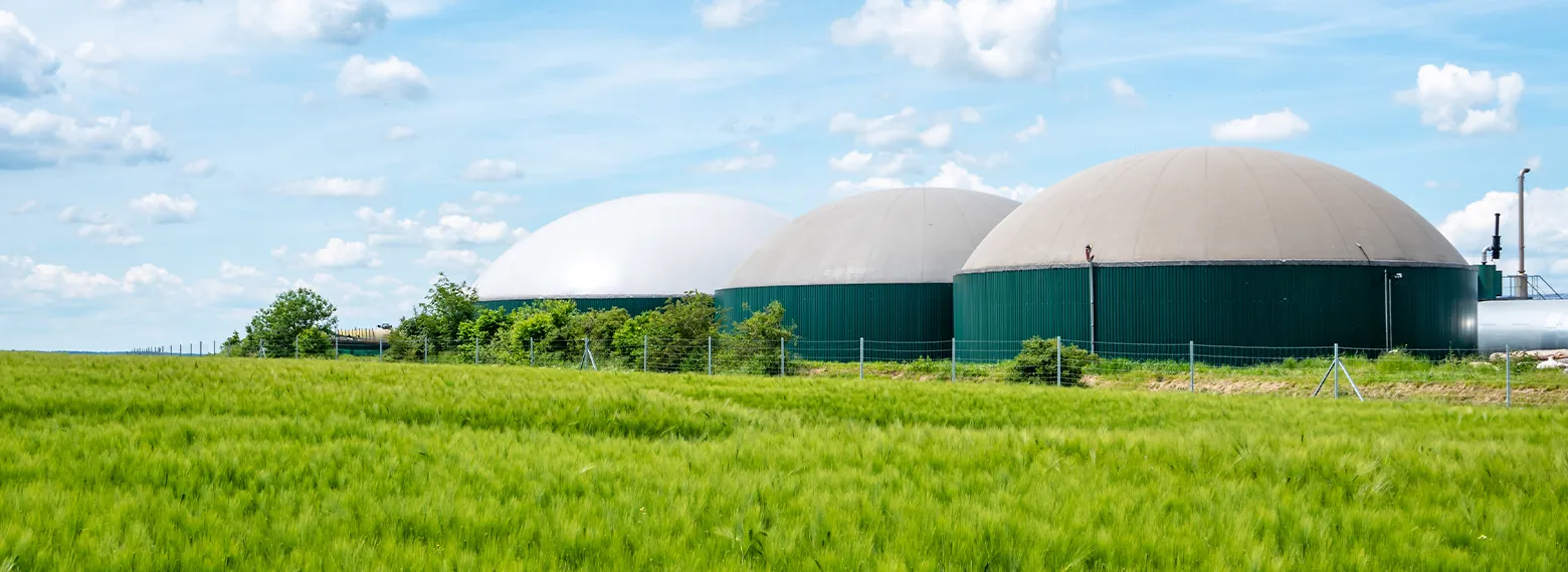 Biomethane plant green field domes
